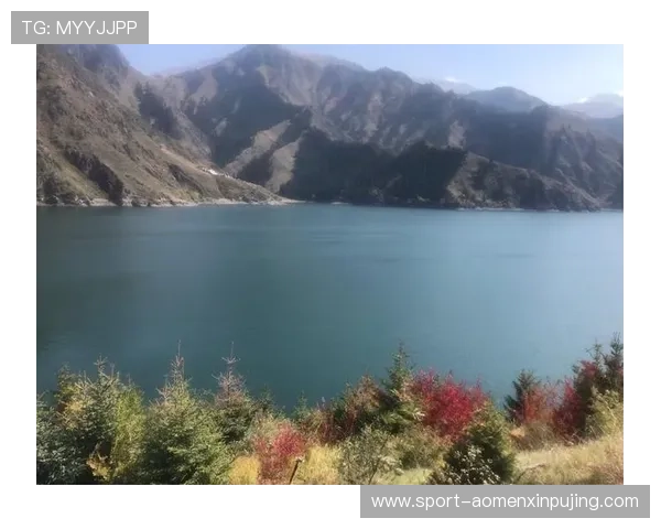 新葡萄京手机下载：常见问题解答与安全保障措施，确保您的账号安全