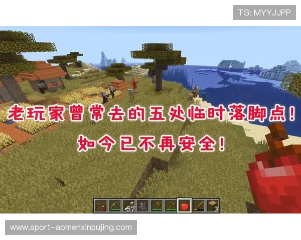 新普京集团电子游戏网址安全保障措施,保障玩家个人信息与资金安全的详细介绍 新普京集团电子游戏网址安全保障措施,保障玩家个人信息与资金安全的详细介绍