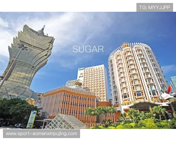 澳门葡京国际站注册流程详解及新手入门指南，帮助玩家快速上手享受丰富游戏内容